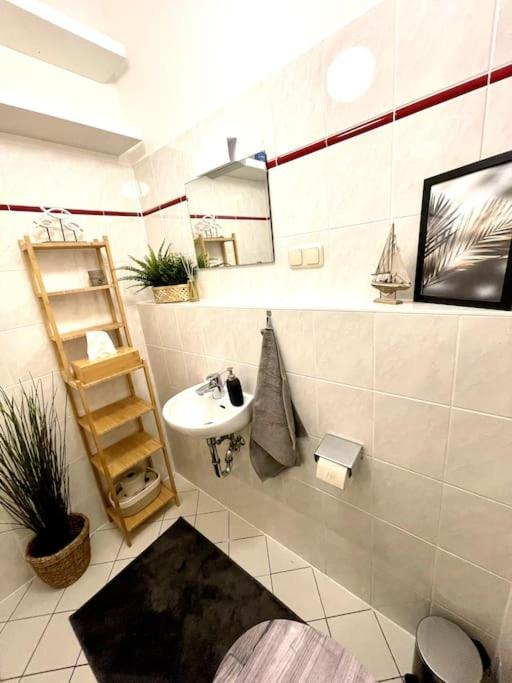 Apartmán Casarina - Stilvoller Altbau In Zentraler Lage Drážďany Exteriér fotografie