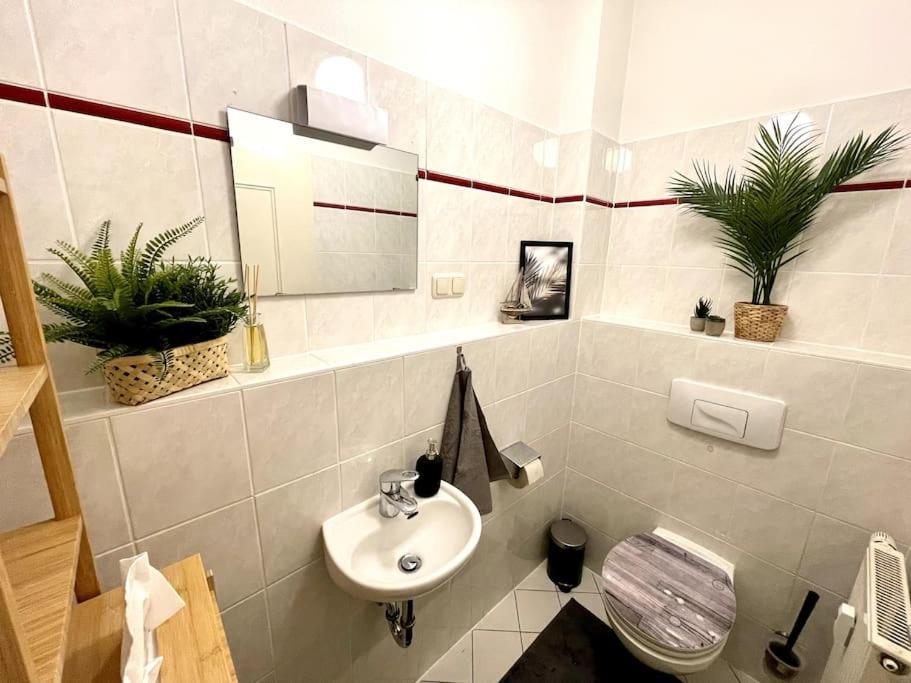 Apartmán Casarina - Stilvoller Altbau In Zentraler Lage Drážďany Exteriér fotografie