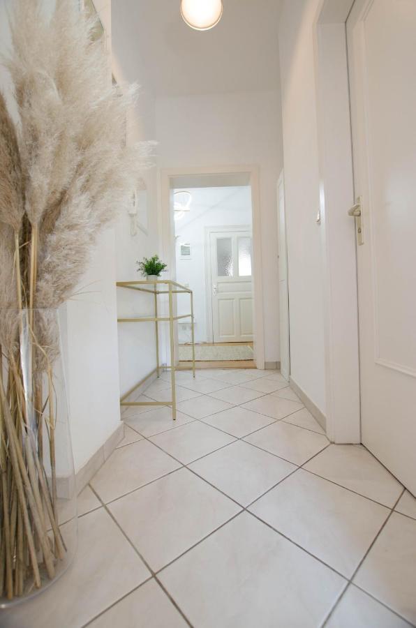 Apartmán Casarina - Stilvoller Altbau In Zentraler Lage Drážďany Exteriér fotografie